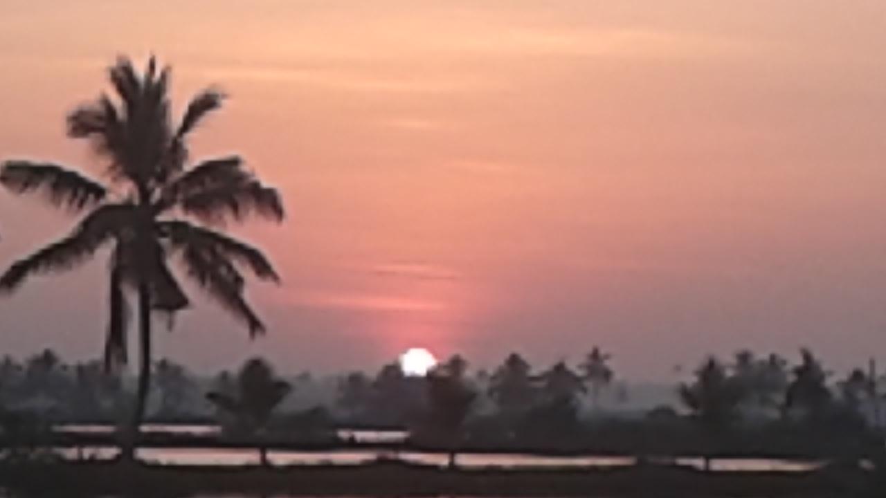 20190223 64650